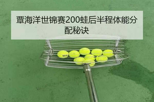 tan-hai-yang-shi-jin-sai-wa-hou-ban-cheng-ti-neng-fen-pei-mi-jue-3-474.jpg